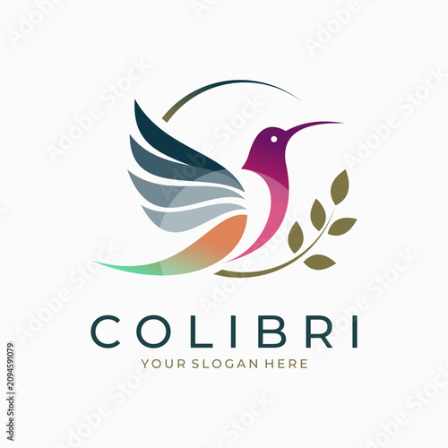 Hummingbird logo template