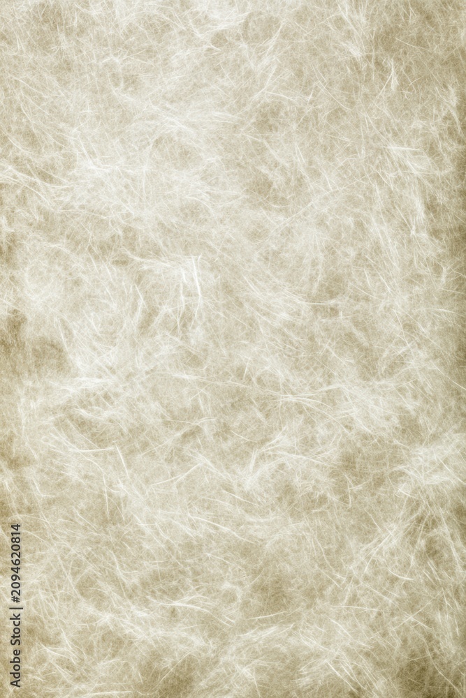 Obraz premium Close-up soft white animal fur texture background