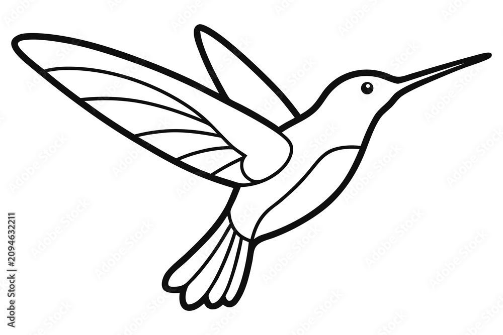 Fototapeta premium Hummingbird Flying Line Art Illustration Hand Drawn Tropical Bird Vector Design