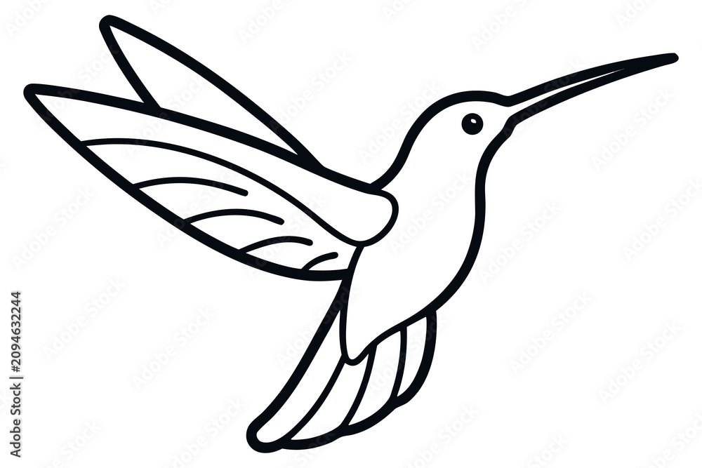 Fototapeta premium Hummingbird Flying Line Art Illustration Hand Drawn Tropical Bird Vector Design
