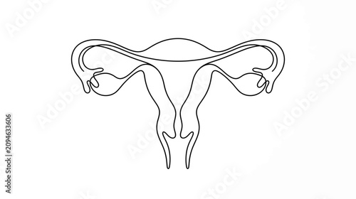 Foto Uterus and Fallopian Tubes Anatomical Line Art Illustration