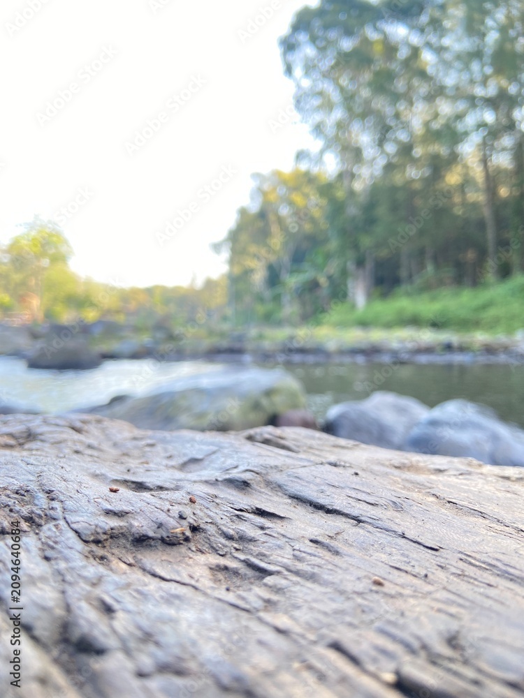 Fototapeta premium natural river views for natural recreation