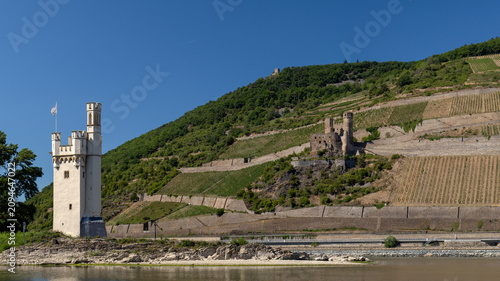 Scenic view of the historic Mouse Tower and Ehrenfels Castle ruins surrounded by steep vineyards along the Rhine River near Bingen, Germany, on a sunny summer day.