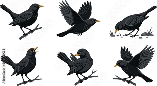 Tableau sur toile Blackbird cartoon vector illustration collection featuring perched, flying, sing