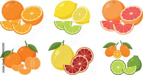 Tableau sur toile Citrus fruit cartoon vector illustration collection featuring orange, lemon, gra