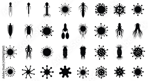 Konstfotografi Insect silhouettes collection black shapes on a white background