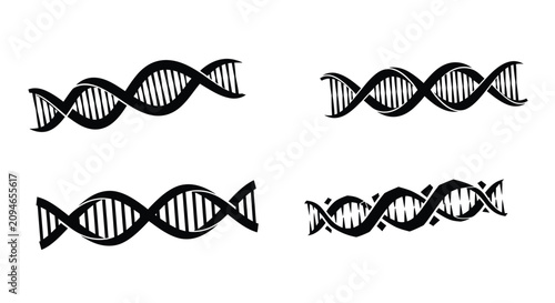 Fotografia Dna Double Helix Silhouettes On A White Background