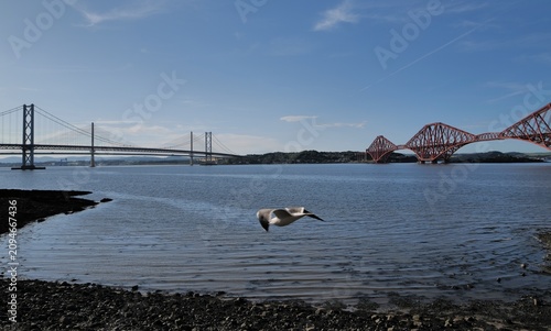 The Firth of Forth Bridges. 