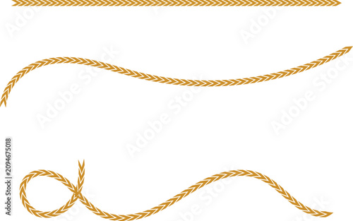 Bild auf Leinwand Rope illustration with knotted and straight sections on a white background