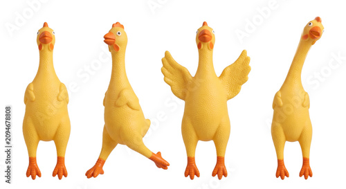 Canvastavla Funny yellow rubber screaming chicken toy poses