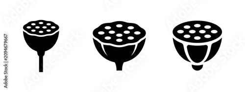 Bild auf Leinwand Lotus seed pod icons set