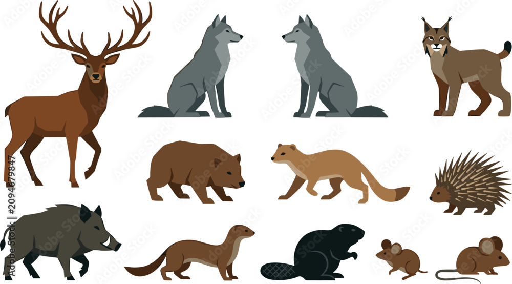 Obraz premium Forest wildlife animals cartoon vector illustration collection featuring deer, wolves, lynx, bear, boar, marten, hedgehog, beaver and mice isolated on white background
