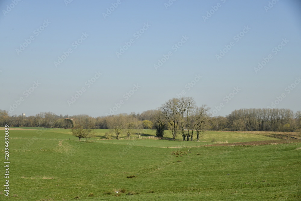 Fototapeta premium Ciel bleu d'hiver au dessus des vastes prairies près d'un bois à Écaussinnes d'Enghien (Soignies)
