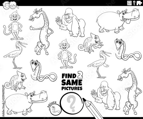 find two same cartoon wild animal characters educational activity coloring page