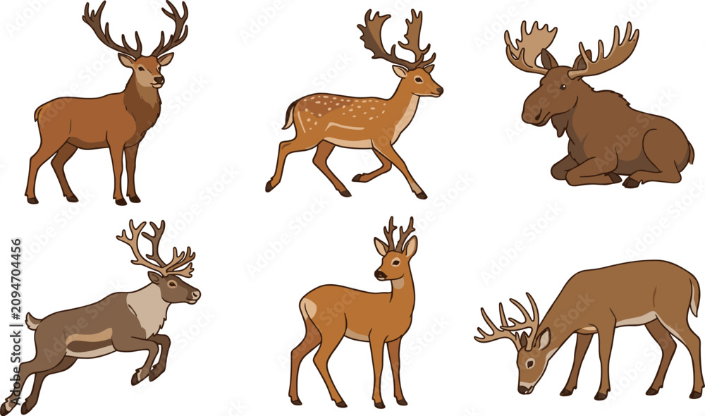 Obraz premium Deer and moose cartoon vector illustration collection featuring stag, fallow deer, moose, reindeer, roe deer and grazing woodland wildlife isolated on white background