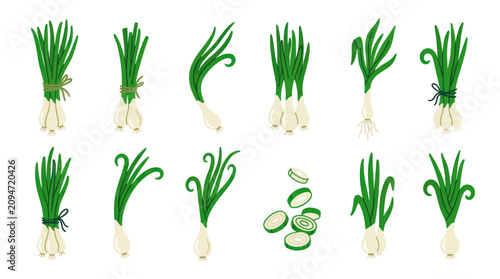 Fotografía Green scallion onions whole and sliced into rings.
