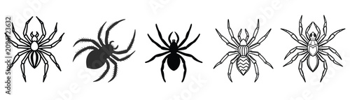 SET OF Spider