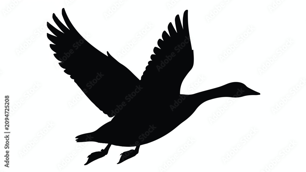 Fototapeta premium A flying bird silhouette soars through the air with spread wings and outstretched legs