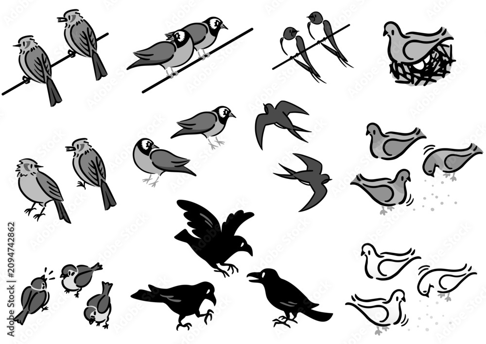 Obraz premium 鳥のイラストセット。身近な日本の鳥。アイソメトリック図。