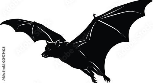 Quadro su tela Flying fruit bat silhouette with wide wingspan for wildlife conservation brandin