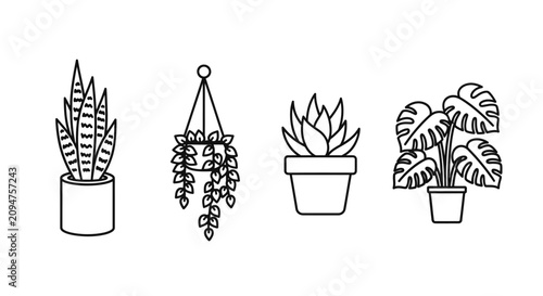 Картината върху платно Set of simple line art potted houseplants: snake plant, trailing plant, succulen