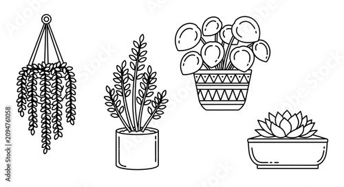 Fotografie Hand-drawn line art collection of various potted houseplants and hanging plants