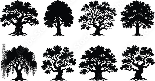 Cuadro en lienzo Collection of old tree silhouettes featuring oak maple and weeping willow vector