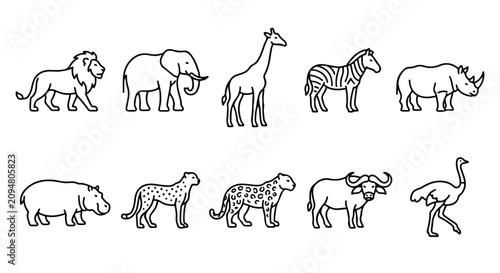 African safari animal icons set, hand drawn wild zoo animals line art, 10 black and white vector illustrations for kids education and coloring
