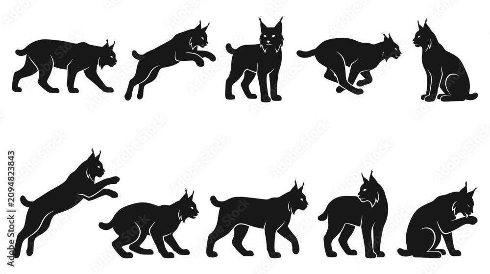 Obraz premium Lynx Silhouette Collection: Various Poses of Wild Cat