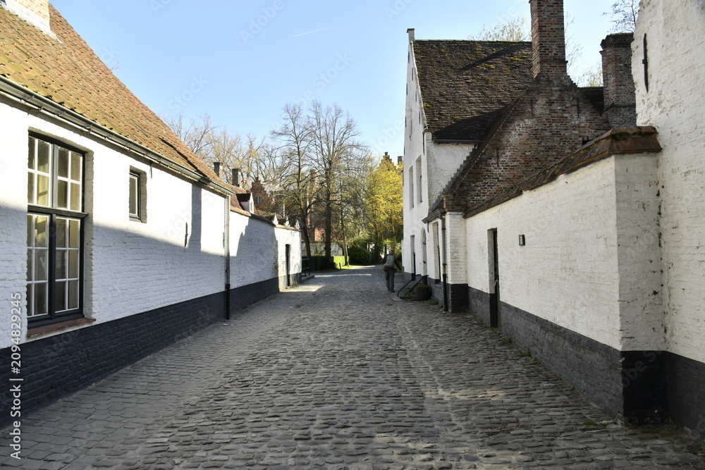 Fototapeta premium Les maisons typiques peintes à la chaux au béguinage de Bruges (Brugge) 