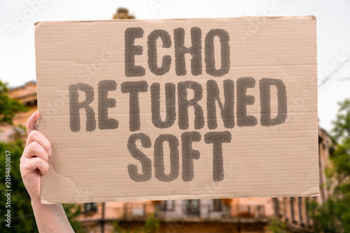 Quadro su tela "Echo Returned Soft" Sound bounced back diminished and faint