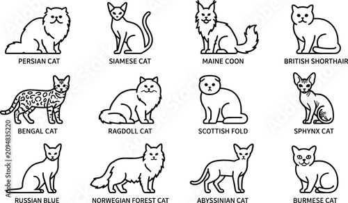 Bild auf Leinwand Popular Domestic Cat Breeds Line Icon Set Featuring Persian Siamese Maine Coon B