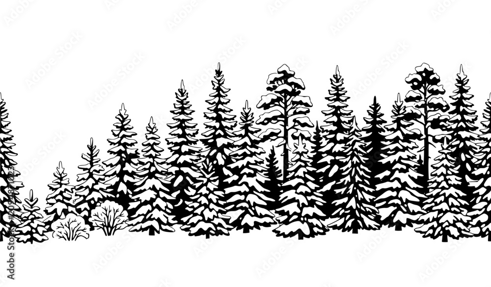 Fototapeta premium Snow Covered Winter Forest Panorama Border with Evergreen Trees Isolated on White Vector Illustration