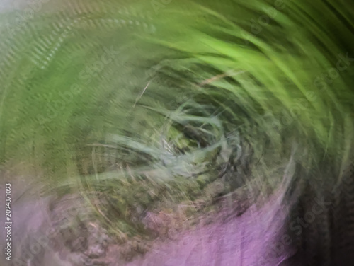 Принти на полотні Abstract green and purple nature background with intentional camera movement and