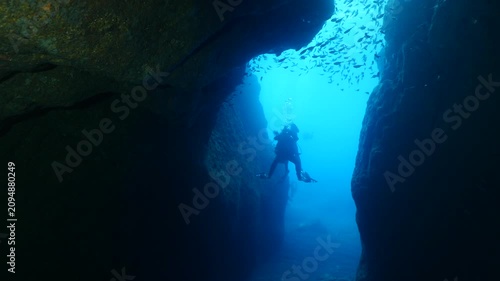 cave underwater with fish in in blue water ocean scenery school of fish hiding mediterranean ocean scenery pempheris