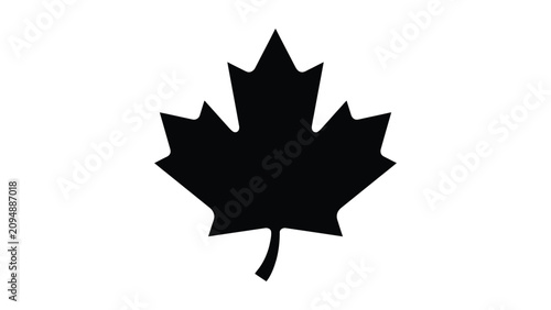 Fotografía Black maple leaf silhouette icon with pointed lobes and central stem, minimalist