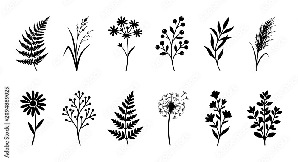 Fototapeta premium Botanical Silhouettes Collection: Delicate Floral and Leafy Elements, Elegant Plant Illustrations for Nature Designs, Vector Graphics Set