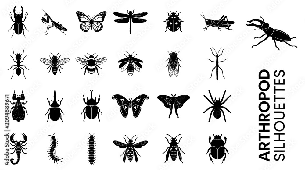 Fototapeta premium Arthropod Silhouettes Collection Diverse Insect and Spider Illustrations for Creative Projects