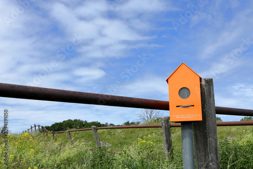 Tableau sur toile Small orange box with audio information about birds