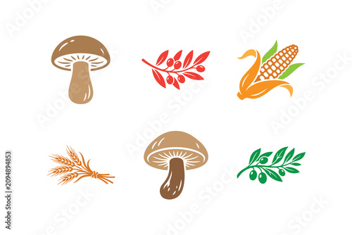 Assorted Produce Illustrations With Flat Color And White Background