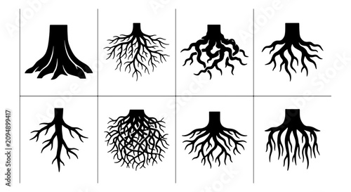 Bild auf Leinwand Diverse Tree Root Systems, Organic Plant Foundation Icons, Black and White Botan