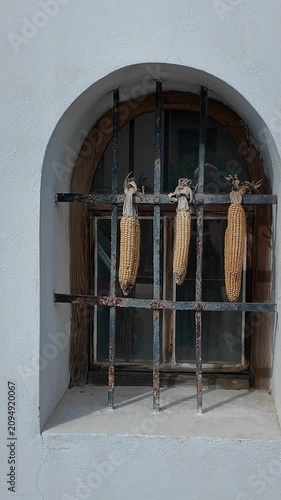 Dried corn cobs hanging on a rustic window grate in an old building