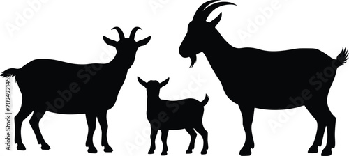 Bild auf Leinwand Goat family silhouette vector illustration featuring billy doe and baby kid isol