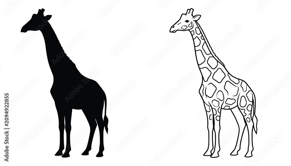 Fototapeta premium Giraffes Pair of Black Silhouette and Outline Drawing Vector Illustration for Children's Books and Educational Materials