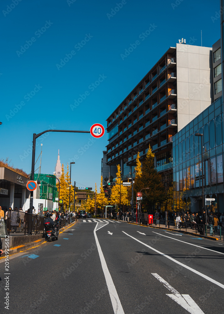 Fototapeta premium Tokyo Streets