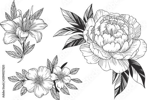 Konstfotografi 百合、大きな牡丹、小さな野生の花を特徴とする白黒の手描きの植物セット