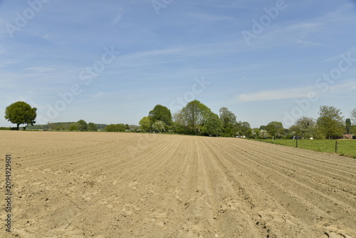 Obraz na płótnie Champ à peine semé pour la plantation de patates à Écaussinnes d'Enghien (Soigni