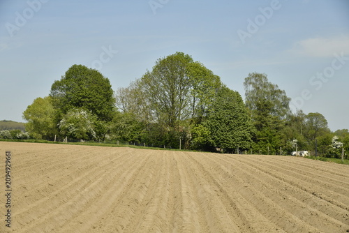 Fotografie Champ à peine semé pour la plantation de patates à Écaussinnes d'Enghien (Soigni