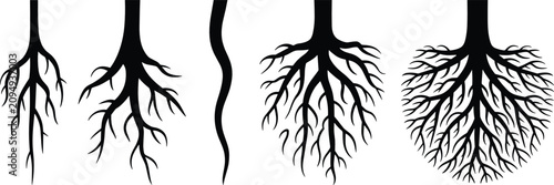 Photos Tree roots flat vector illustration set