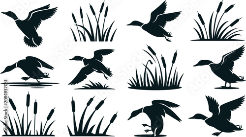 Lake ducks flat vector illustration elements. Black silhouette mallards swimming and flying among marsh cattail reeds form an outdoor swamp wildlife collection.